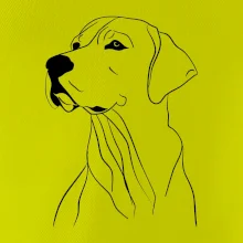 Labrador čierna kresba