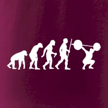 Evolution fitness