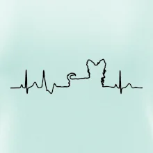 Yorkshirský teriér EKG