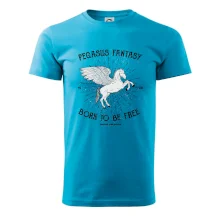 Pegasus fantasy
