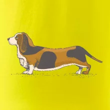 Vintage basset