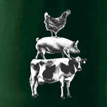 Sliepky prasa krava Sliepky prasa krava