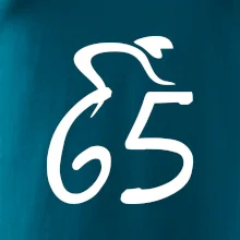 Cyklista oslavuje šesťdesiatpäťku (65)