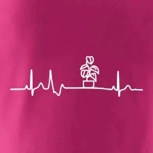 EKG Filodendron EKG Filodendron