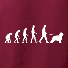 Evolúcia pes Briard