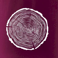 Letokruhy 60 bez veku