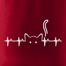 Mačka EKG