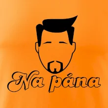 Na pána Na pána