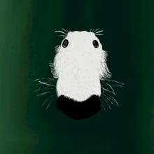 Barzoj čumák (Moňas)