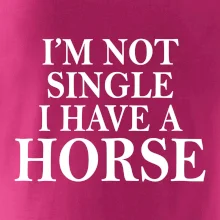 I have a horse