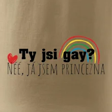Gay princezna Gay princezna