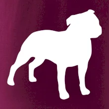 Americký stafordšírsky teriér Na prsníku