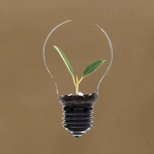 Žiarovka kvetináč