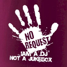 Iam a dj not a jukebox  - ruka