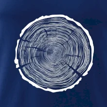 Letokruhy 100 bez veku Letokruhy 100 bez veku