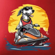 Chrt na vodnom skútri