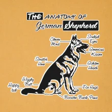 Nemecký ovčiak - Anatómia