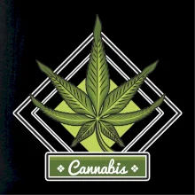 Cannabis list kosoštvorec