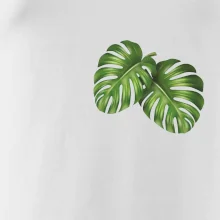 Monstera listy na prsu