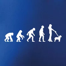 Lagotto romagnolo Evolúcia