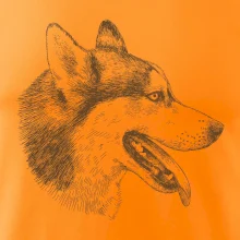 Husky - hlava z boku
