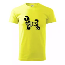 Maltézsky psík nápis v tele