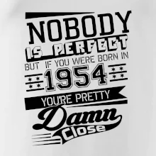 Nobody is perfect - 1954