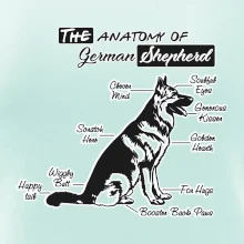 Nemecký ovčiak - Anatómia