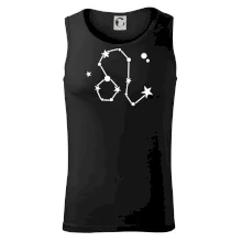 Súhvezdie - Leo - Lev Súhvezdie - Leo - Lev