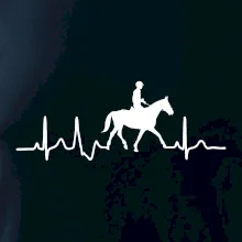 EKG jazda na koni EKG jazda na koni