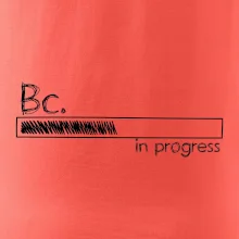 In progress titul Bc. bakalár / bakalárka