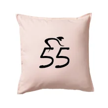 Cyklista oslavuje päťdesiatpäťku (55)