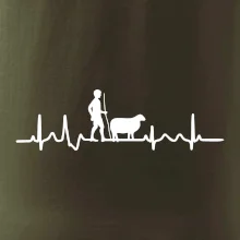 Ekg pastier oviec