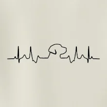 Labradorský retriever‎ EKG