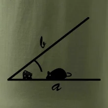 Matematická myš Matematická myš