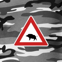 Dopravná značka - Pozor diviak