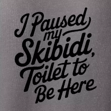 I Paused My Skibidi Toilet to be Here