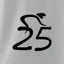 Cyklista oslavuje dvadsaťpäťku (25)