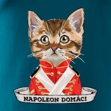 Napoleon domáci mačka