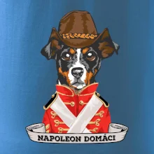 Napoleon domáci kríženec