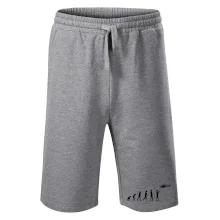 Evolúcia modelárov Evolúcia modelárov