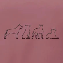 Americký stafordšírsky teriér v rôznych pozíciách