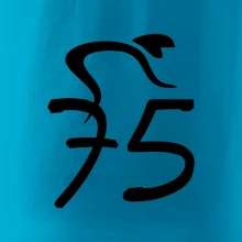 Cyklista oslavuje sedemdesiatpäťpäťky (75)