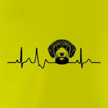 Lagotto romagnolo hlava EKG