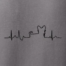 Yorkshirský teriér EKG Yorkshirský teriér EKG