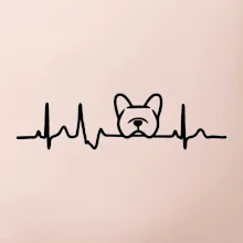 EKG Francúzsky buldoček hlava