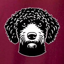 Lagotto romagnolo hlava na prsníku