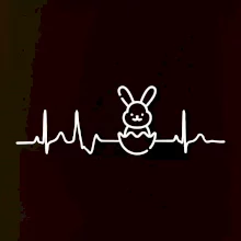 EKG Veľkonočný zajac