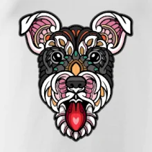 Knírač hlava barevná