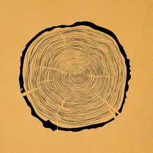 Letokruhy 65 bez veku